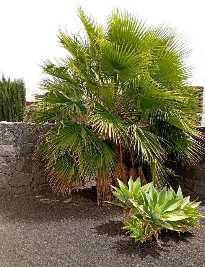 Villa Fortuna Playa Blanca (Lanzarote) Exterior foto